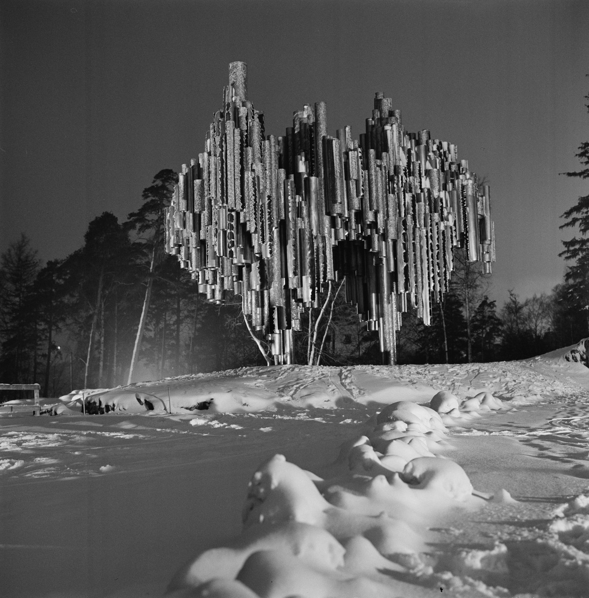 Sibelius-monumentti, Sibeliuksen puisto