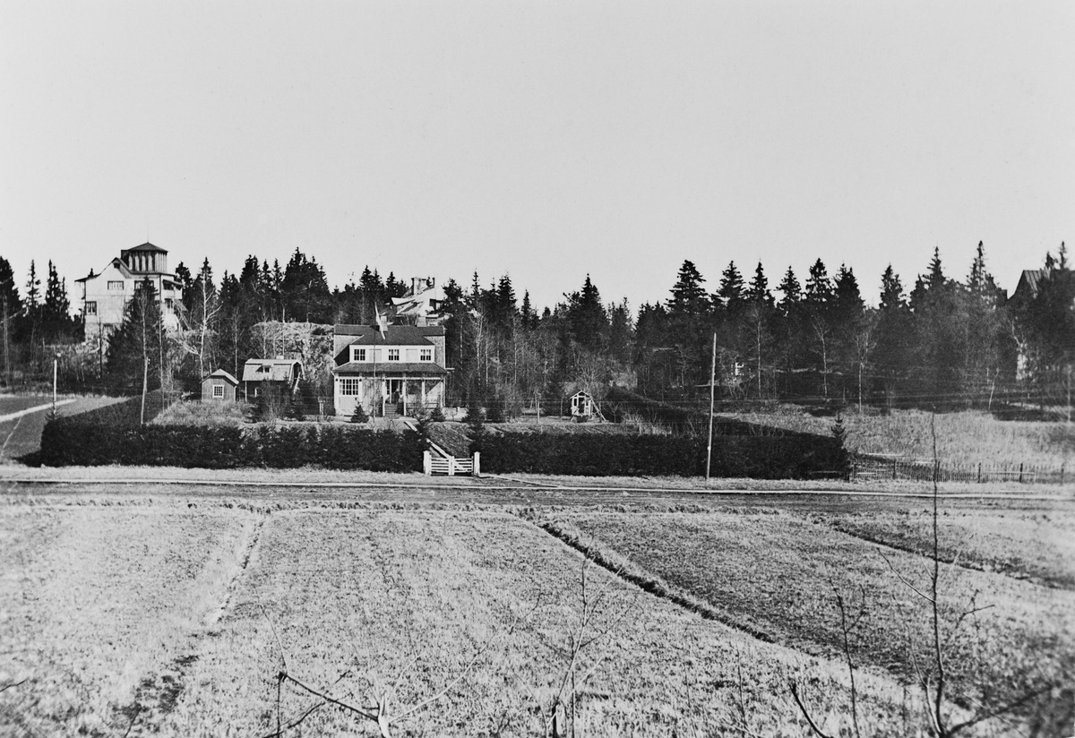 Pellonsyrjä, Pukinmäki 1921
