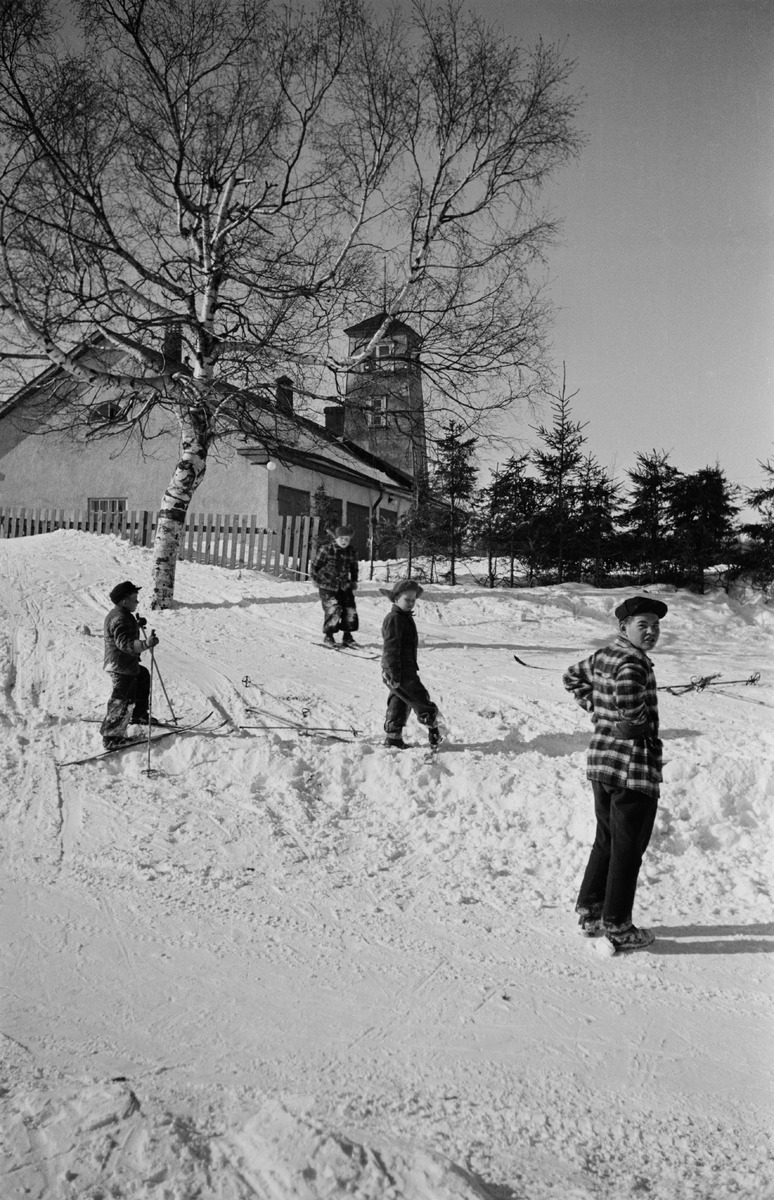 Lapsia mäenlaskussa Lauttasaaressa