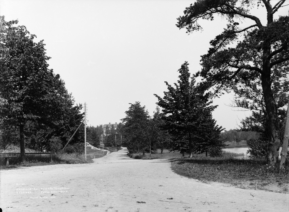 Näkymä Eläintarhan puistosta hiekkatieltä, joka kulkee oikealla näkyvän Töölönlahden pohjukan viertä ja kaartaa etäisyydessä vasemmalle