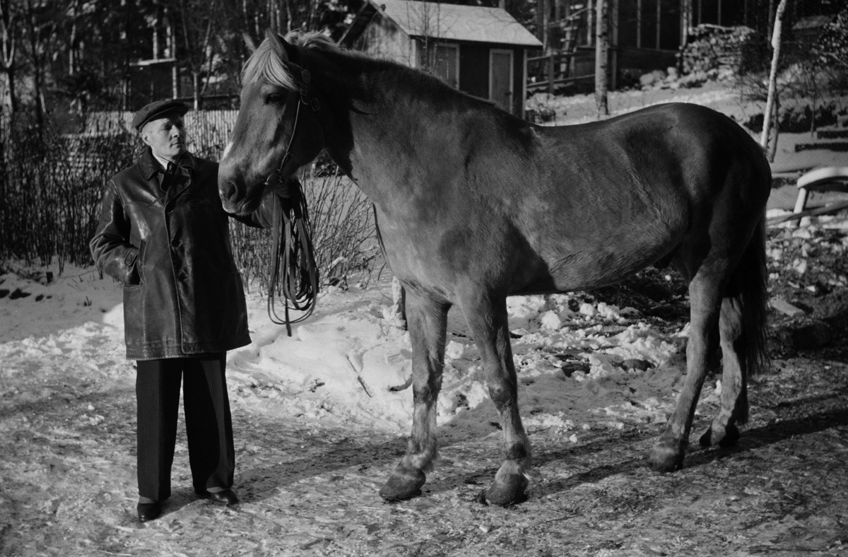 Mies ja hevonen ulkona talvella