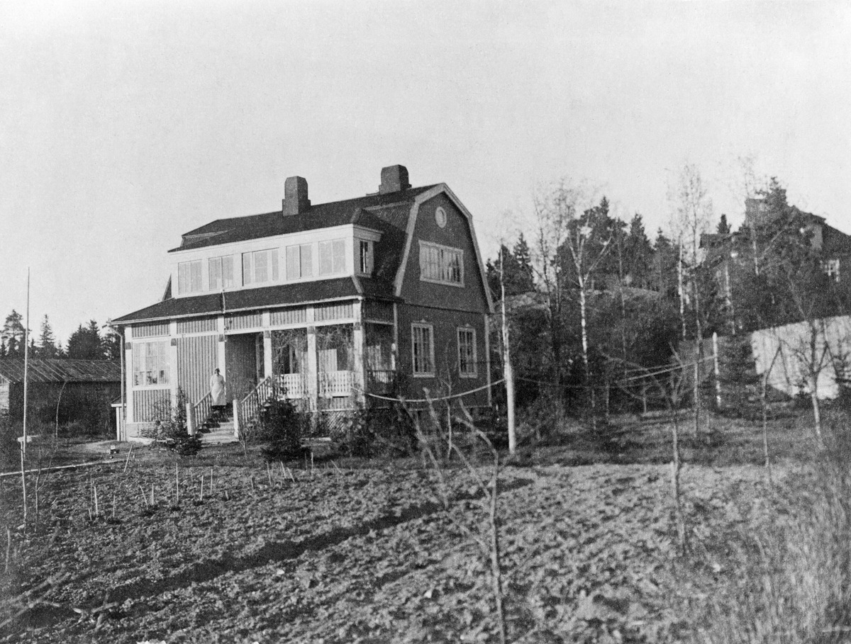 Pellonsyrjä, Pukinmäki vuonna 1920