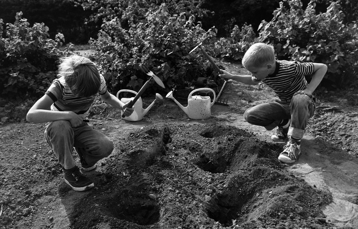 Kaksi poikaa (Tuomas Heikkilä ja Aapo Rista) kuokkimassa maata taimien istuttamista varten Kumpulan koulukasvitarhassa