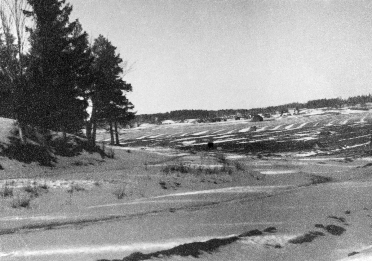 Näkymä Pukinmäestä nykyisen Närepuiston pohjoislaidalta länteen yli
peltojen
ja
Vantaanjoen Pakilan puolelle